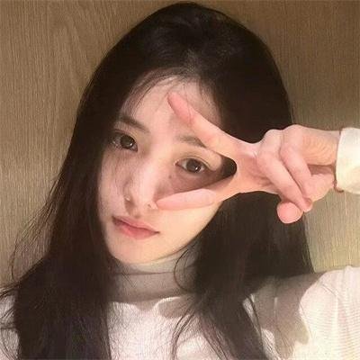 领头羊